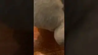 Ники😕😱😱😱