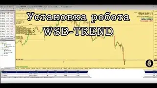 Установка робота WSB TREND