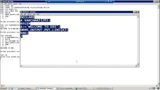 PLSQL Class   02  DATA TYPES  in ORACLE 11g