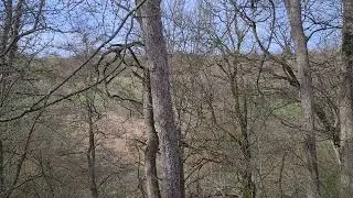L&auml;rmschutz in the L&auml;nd B27 bei B&auml;stenhardt M&ouml;ssingen #5