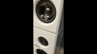 Отделка акустических систем Skayton