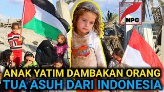 RIBUAN YATIM PALESTINA DAMBAKAN ORANG TUA ASUH INDONESIA