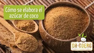 C&oacute;mo se elabora el az&uacute;car de coco - Dr. Goerg