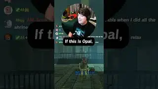 Swing away, Dean. Dean, swing away. #twitch #zelda #zeldabotw #twitchstreamer #nintendoswitch2