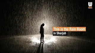 Watch: Inside the stunning Rain Room exhibition in Sharjah