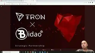 REALIST NEWS - I am 90% ALL IN! Bidao! New Partnership! TRON!