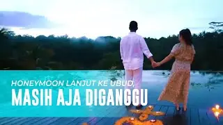 Stay di Villa Paling Indah di Ubud. Honeymoon & romantic dinner serombongan