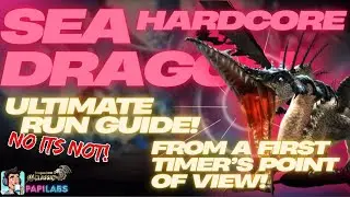 Ultimate Hardcore Sea Dragon Run Review Guide - Dragon Nest M Classic