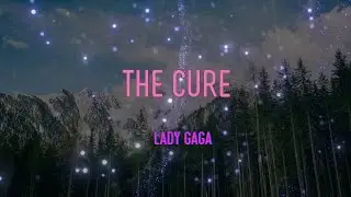 Lady Gaga - The Cure Lyrics | I'll Fix You With My Love