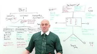 27. Approach to Abdominal Pain (Medicine Must-know for interns)