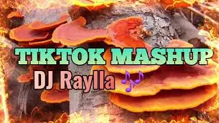 Dance se souber - dancinhas do tiktok - DJ Raylla 🎶