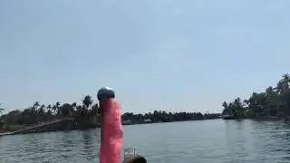 Allepy backwater sikara ride 2026 #allepy#kerla #song #trip #incredibleindia 