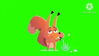 The French Blue Raccoon Season 14 Platinum Squirrel On Green Screen