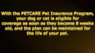 PetCare Insurance Review