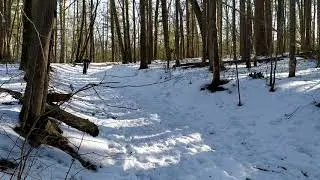 Railz snow scooter ski attachment sledding skateboard. Woodshollow nature preserve.