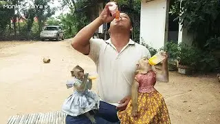 Leading Sweet YaYa Dinking Yogurt Milk By Daddy