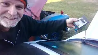 Found On Road Dead
