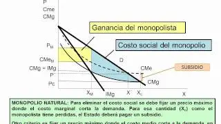 20-Regulacion del monopolio natural