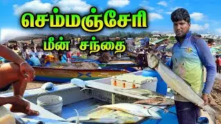 💥🐠செம்மஞ்சேரி மீன் சந்தை|கோவளம் அருகில்|உயிருள்ள கடல் மீன்கள் கிடைக்கும் |Kovalam Fish Market #viral