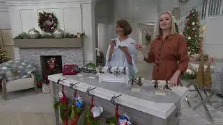 Haute Decor Set of 4 MantleClip Stocking Holder & Storage Box on QVC