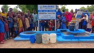 Puits / Колодец №: 4650 Niger