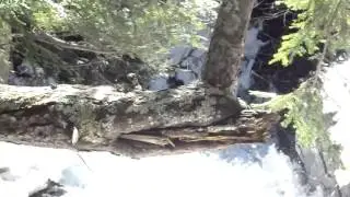 Cascade Brook Spring snowmelt