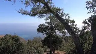 The Amazing View of Nepenthe Restaurant