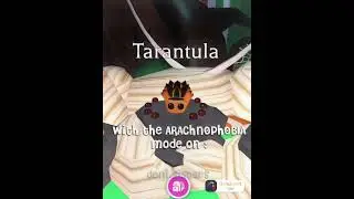 Spiders are here in adopt me! ARACHNOPHOBIA MODE COMPERISION! 😱 #adoptmehalloween #adoptmespiders