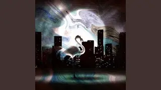 Flamingo Groove