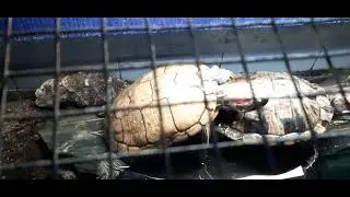 Vizag Tour-Matsyadarshini Part2