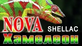 Шеллак Nova: серия Хамелеон