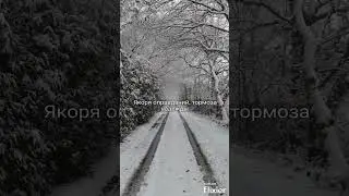 Каждому стоит это знать... #youtubeshorts #рекомендации #шортс #amazing  #цитаты #top #trend #успех