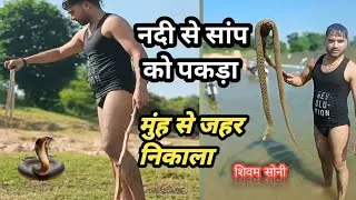 खतरनाक था सांप को बचाना || Snake Rescue #snake #snakevlogs #riverside #villagevlog #village #rescue