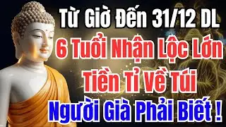 Từ Nay Đến 31 Tháng 12, 6 Con Giáp Chốt LỘC Cuối Năm – Giữ Được Thì 2026 Tiền Bạc Kéo Đến