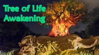 Tree of Life Awakening - Animal Kingdom Nighttime Show (4K)