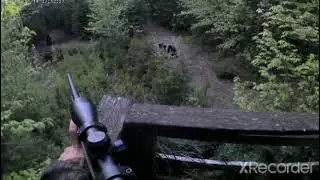 spring bear hunt 2022