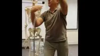 Nervous system for massage therapy