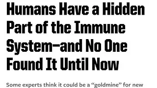 Hidden part of the human immune system | Science fact | Popular mechanics article |