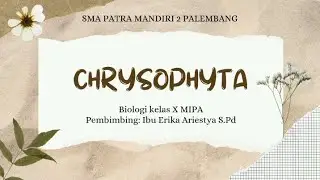 powerpoint biologi : Chrysophyta