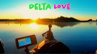 Hot July Bass on the Delta