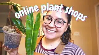 Plant shops I like | Buying plants online