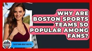 Why Are Boston Sports Teams So Popular Among Fans? - Everything About Boston