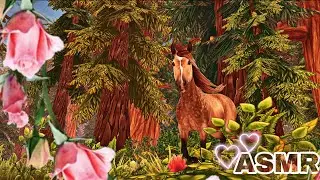 ASMR✨  Star Stable | sounds of nature🌿 horse🐎 wind💫 water💦