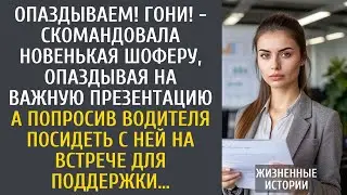 Опаздываем! Гони! - скомандовала новенькая шоферу, опаздывая на важную презентацию…