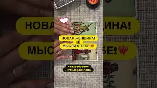 13 февраля 2026 г.