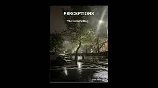 Perceptions - Crash Cartel - Lil Sak