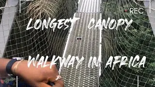LONGEST CANOPY WALKWAY IN AFRICA & 2ND LONGEST CANOPY IN THE WORLD & HOW LONG IT TOOK ME TO CLIMB IT