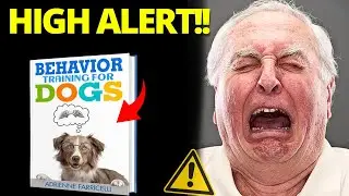 Brain Training for Dogs Reviews 2024 (FAKE) Brain Training for Dogs - Brain Training for Dogs Review