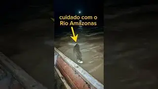 um dos Rios mais perigosos do mundo est&aacute; no Brasil #rioamazonas #naturezaselvagem #aventura