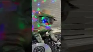 CAT CLUB REMIX PART 2